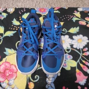 Air Jordan 37 Low Fraternity